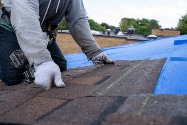 Best Roof Ventilation Installation  in Sprague, WV